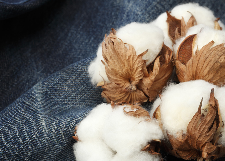 綿製品について